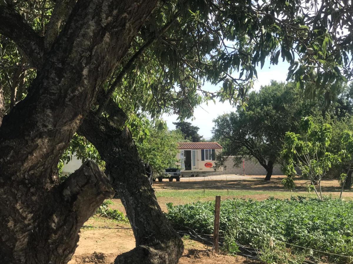 فندق The Farm Tiny House - Tiny Casa شيكلانا دي لا فرونتيرا المظهر الخارجي الصورة